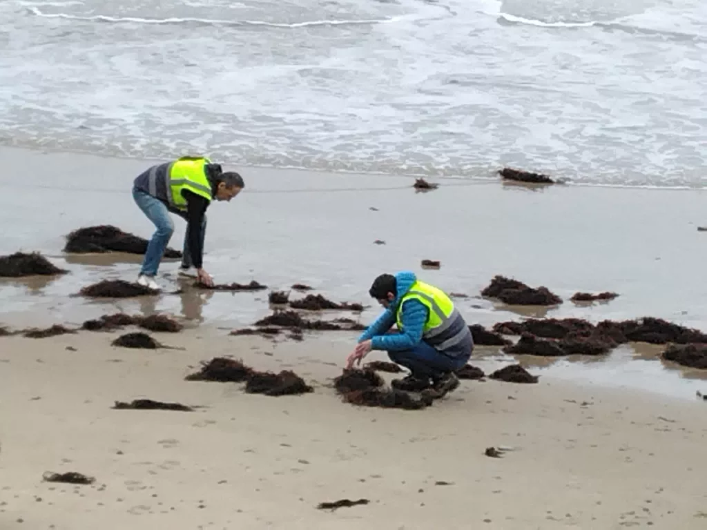 Microplásticos llegan a la costa cántabra: nivel 2 de emergencia activado