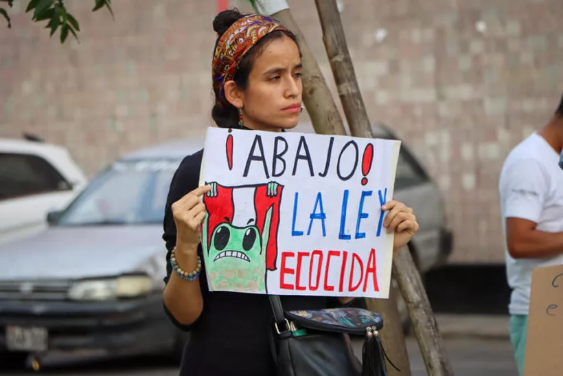 ONU advierte: Ley Forestal en Perú incentiva despojo territorial y tala en tierras indígenas