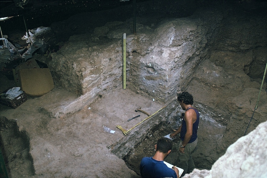 La dieta de los neandertales al sur de la península ibérica